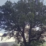 Le Querce Di Mamre 3*
