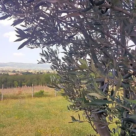 Bed & Breakfast Le Querce Di Mamre 3*