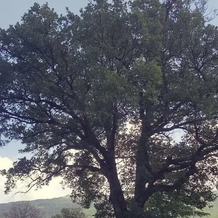 Le Querce Di Mamre 3*