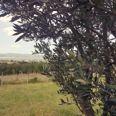 Le Querce Di Mamre 3* Passaggio di Assisi