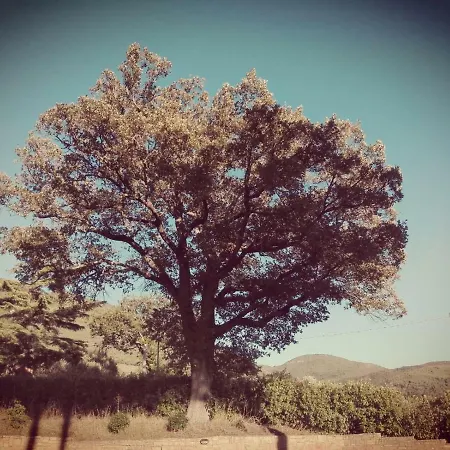 לינה וארוחת בוקר Le Querce Di Mamre Passaggio di Assisi