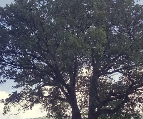 Le Querce Di Mamre 3*