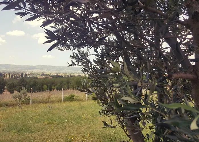 Le Querce Di Mamre 3* Passaggio di Assisi